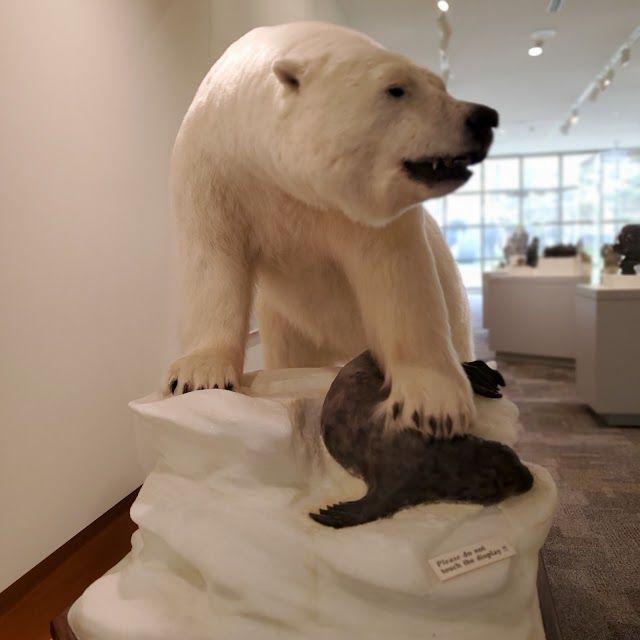 Dennos Museum Center at Northwestern Michigan College